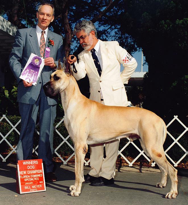 gigilo.jpg - 68996 Bytes