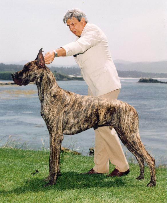 pokey.jpg - 68996 Bytes