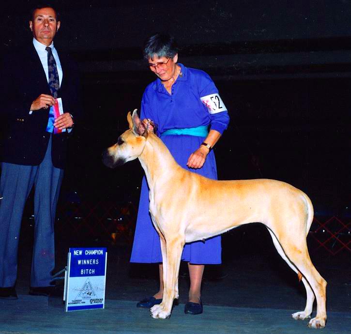 shea.jpg - 68996 Bytes