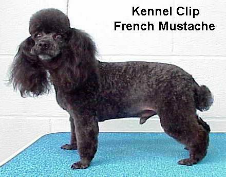 kenlclip.jpg - 37997 Bytes