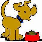 boardogl.jpg - 28986 Bytes