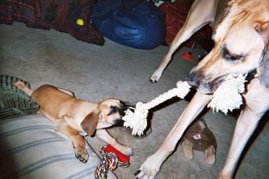 sally.jpg - 27794 Bytes