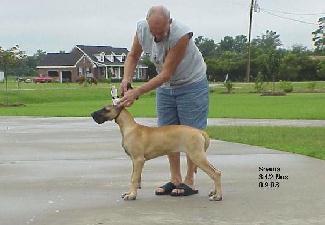 shania4.jpg - 22842 Bytes