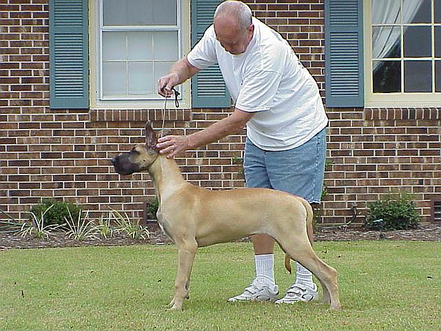 shania6.jpg - 98748 Bytes