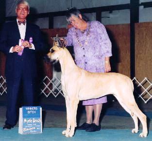 cherry6.jpg - 29964 Bytes