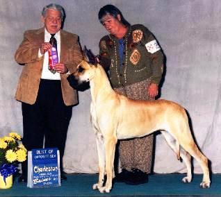 cherry7.jpg - 29294 Bytes