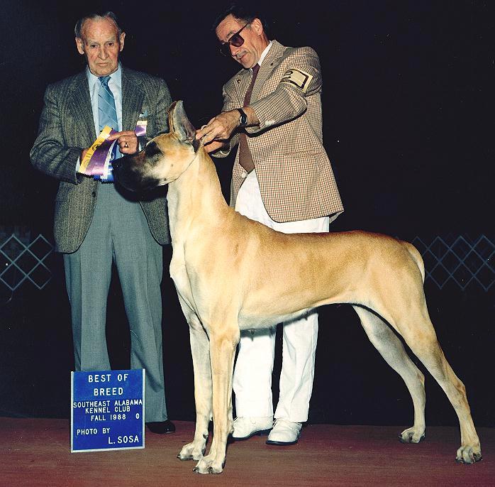 kate.jpg - 93841 Bytes