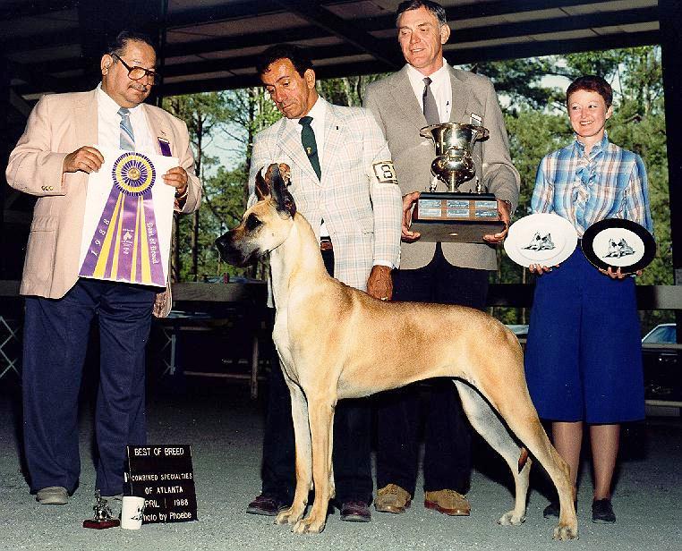 kissimme.jpg - 128926 Bytes