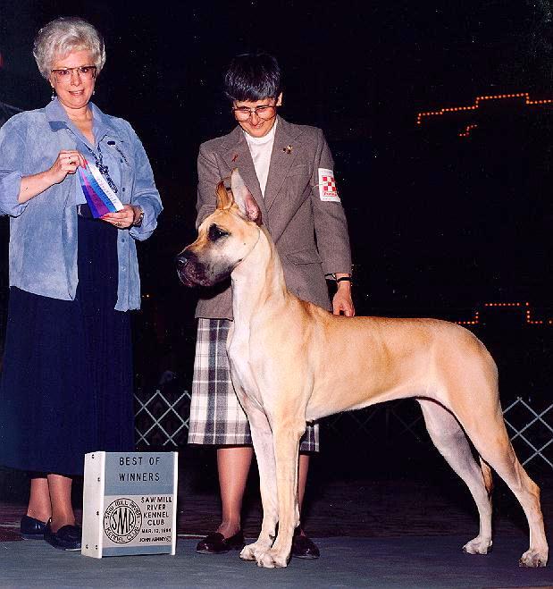 pearls.jpg - 68996 Bytes